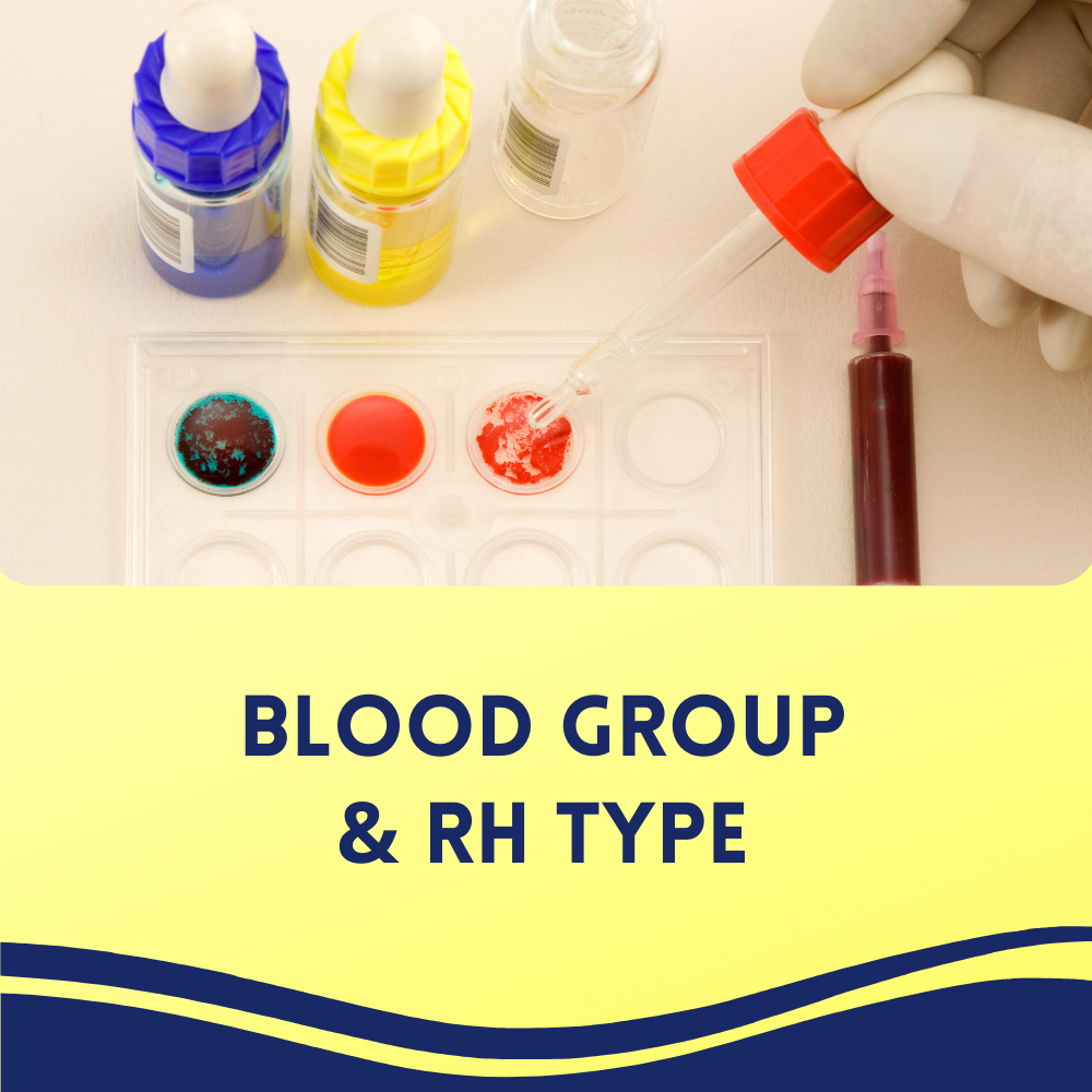 Blood Group & Rh Type