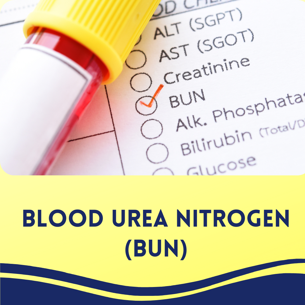 Blood Urea Nitrogen (BUN)