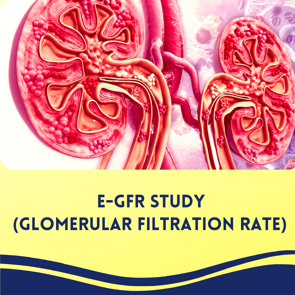 E-GFR Study