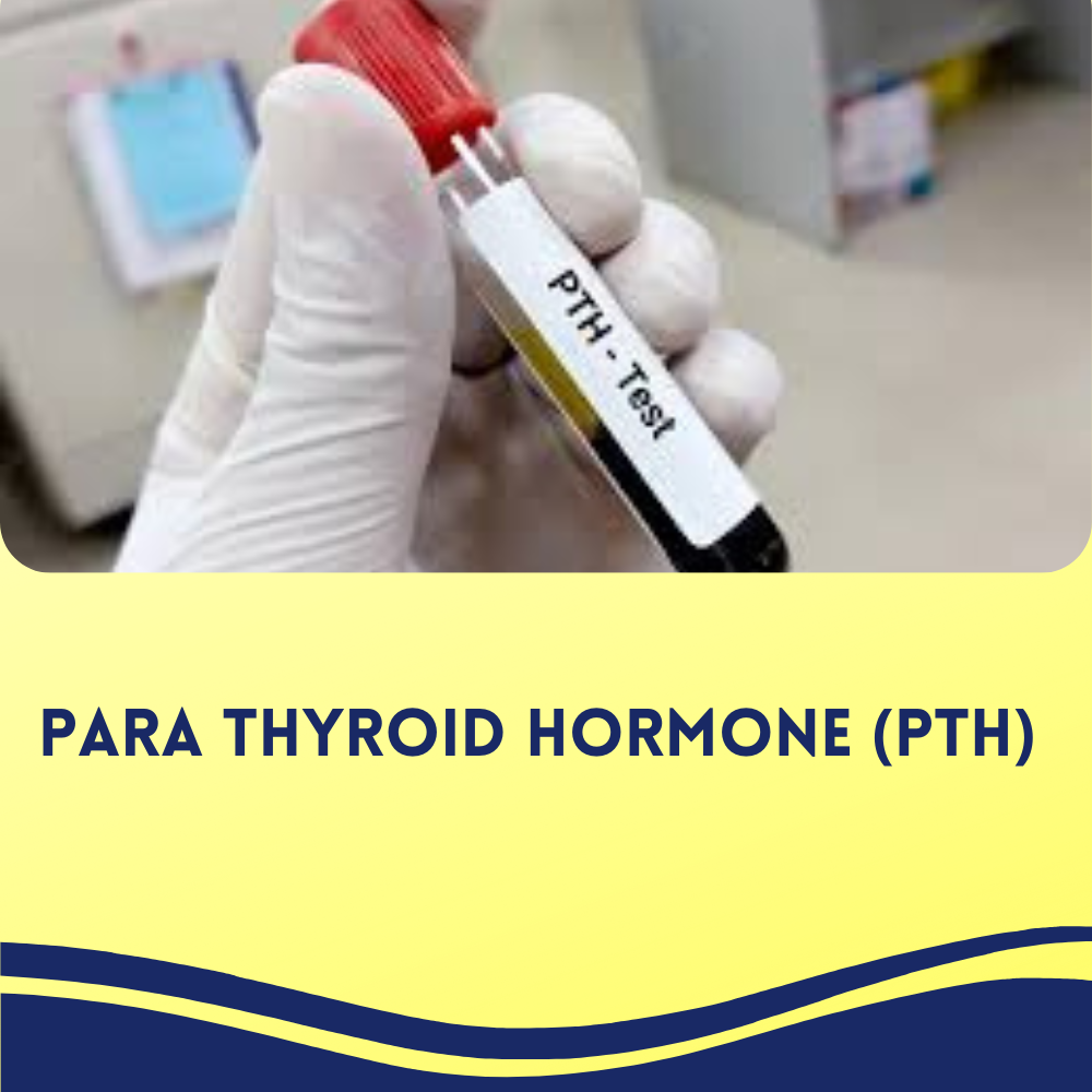 Para Thyroid Hormone (Pth)